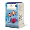 Kit complet crochet DMC Duo Poissons-Clowns avec boîte cadeau et matériel inclus